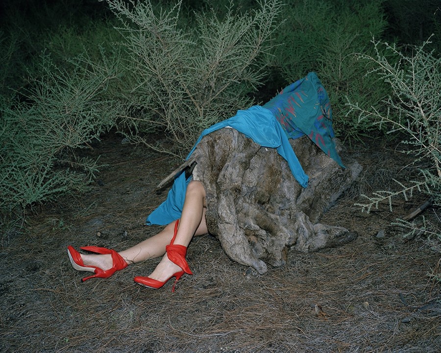 Viviane Sassen In And Out Of Fashion AnOther