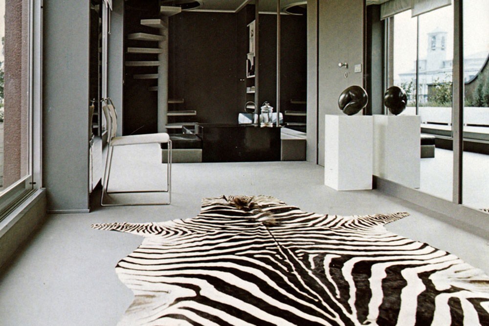 Zebra | AnOther