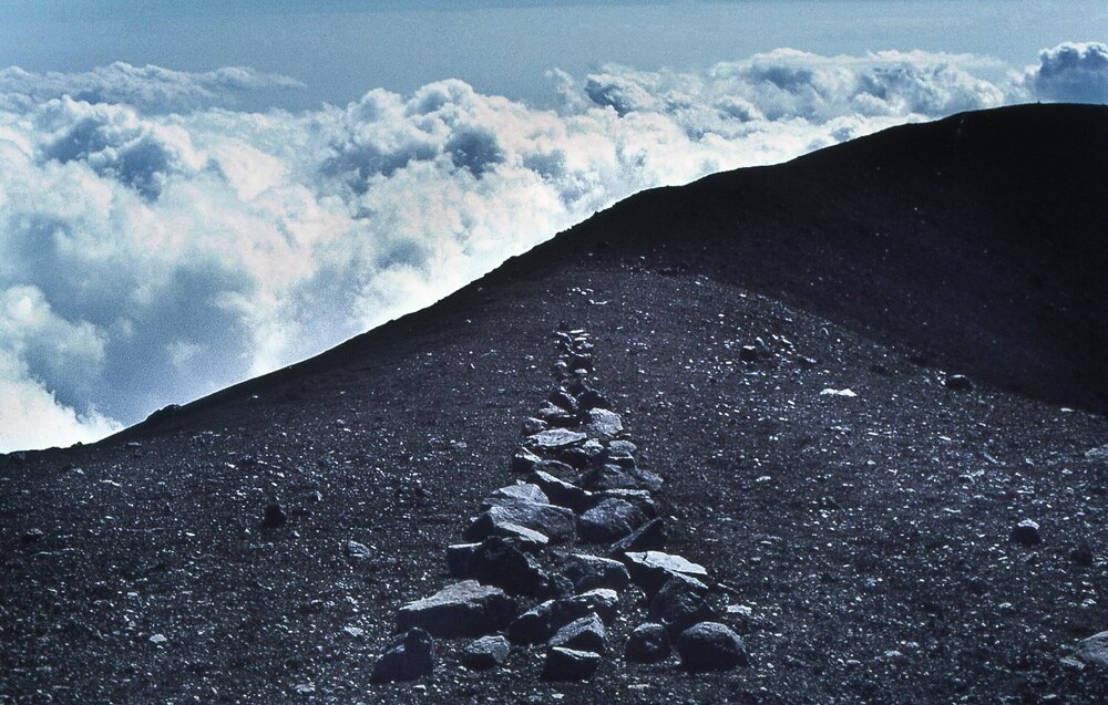 Richard Long, A Line in Japan, 1979