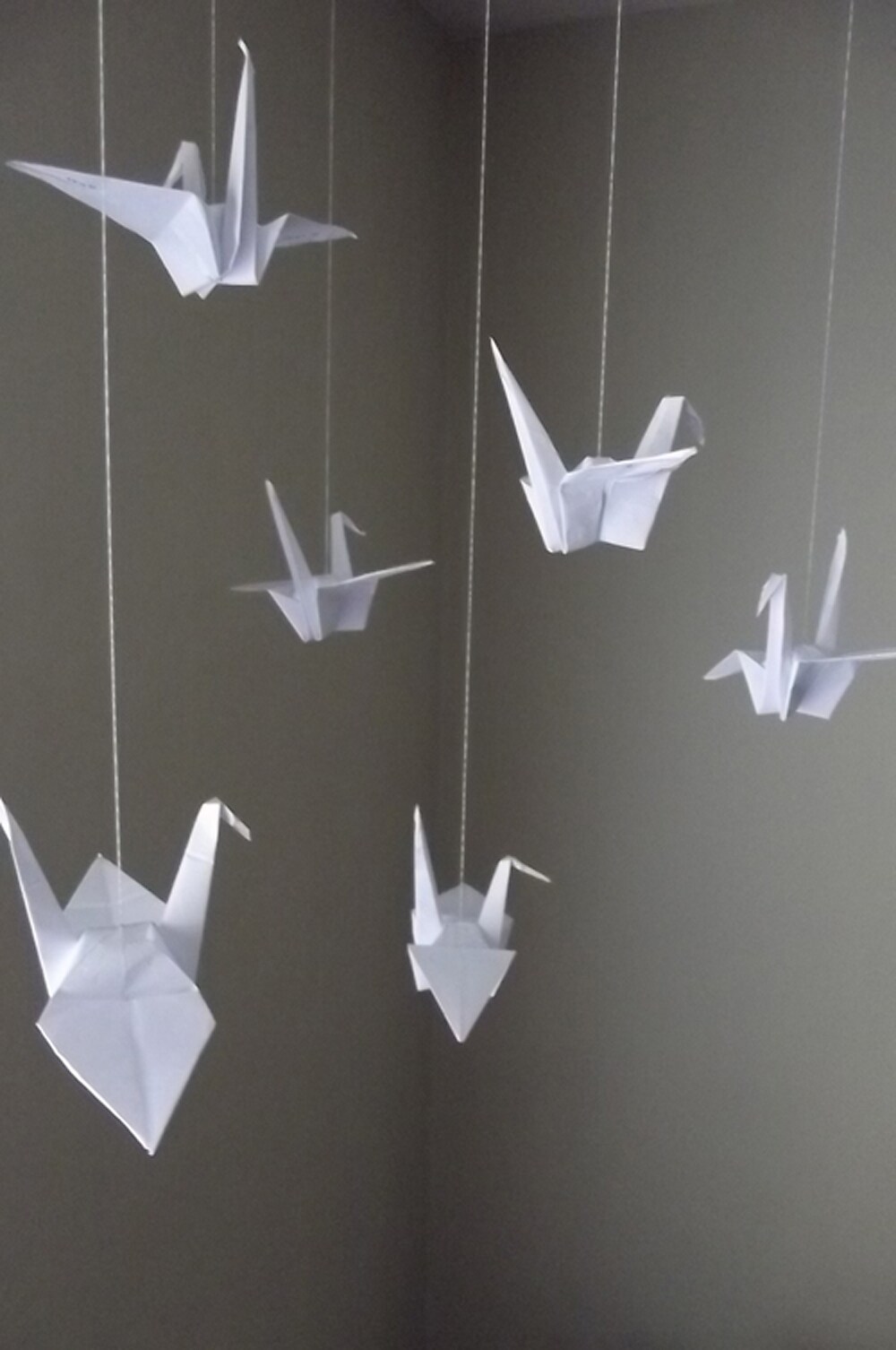 Paper Cranes