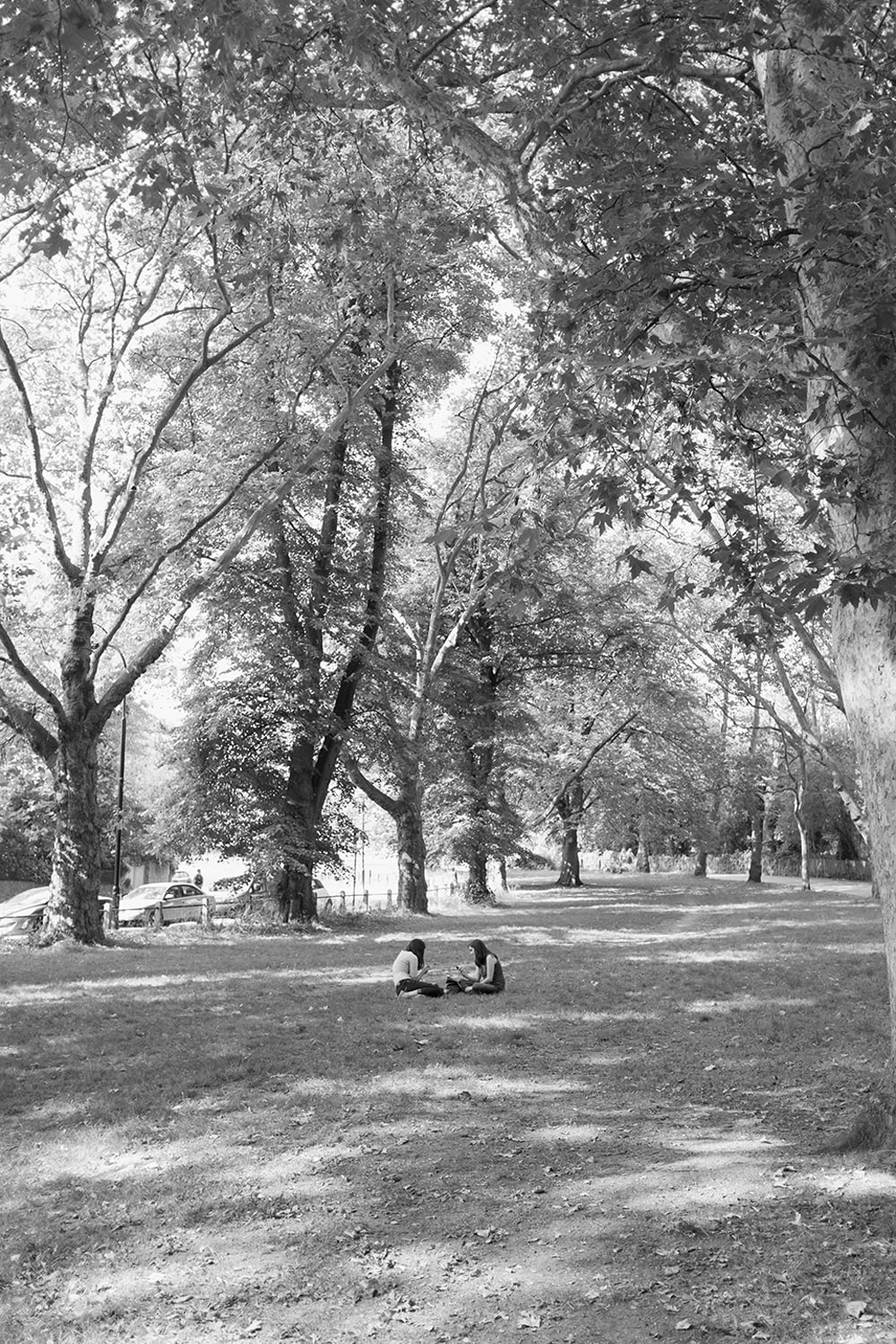 Park Phones