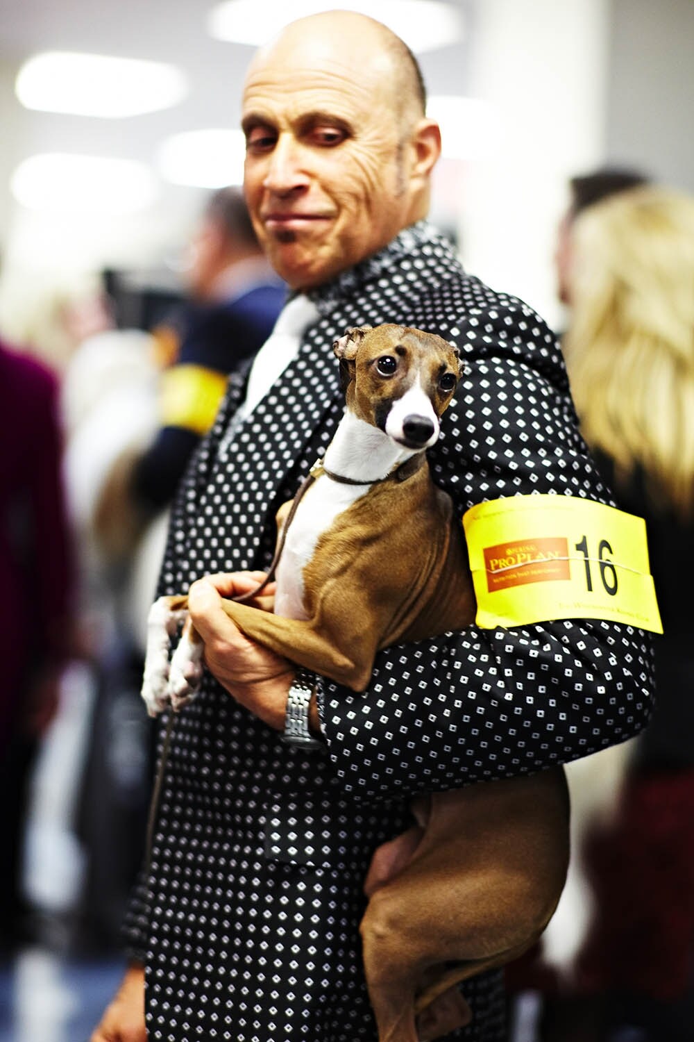 Westminster Kennel Club dog show 2014