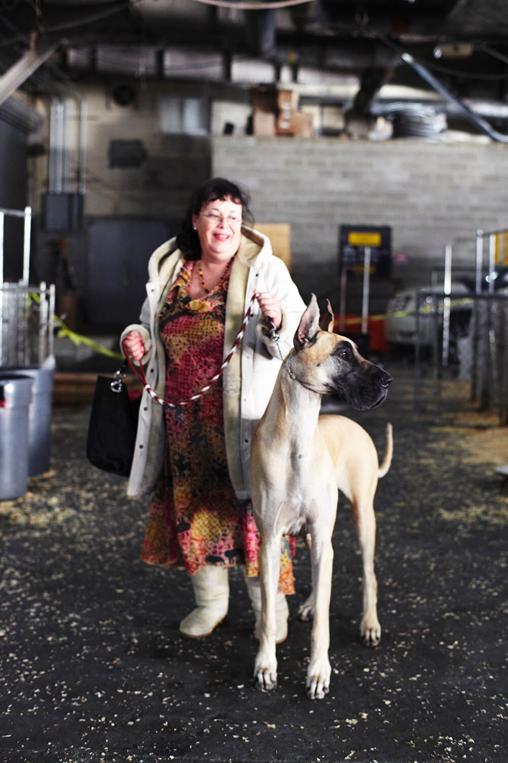 Westminster Kennel Club dog show 2014