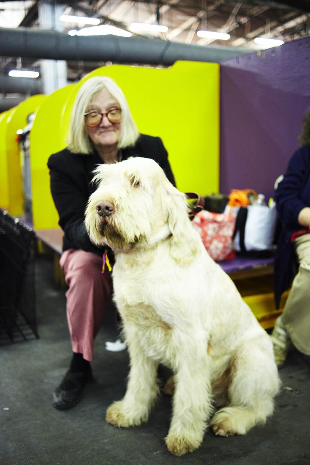 Westminster Kennel Club dog show 2014
