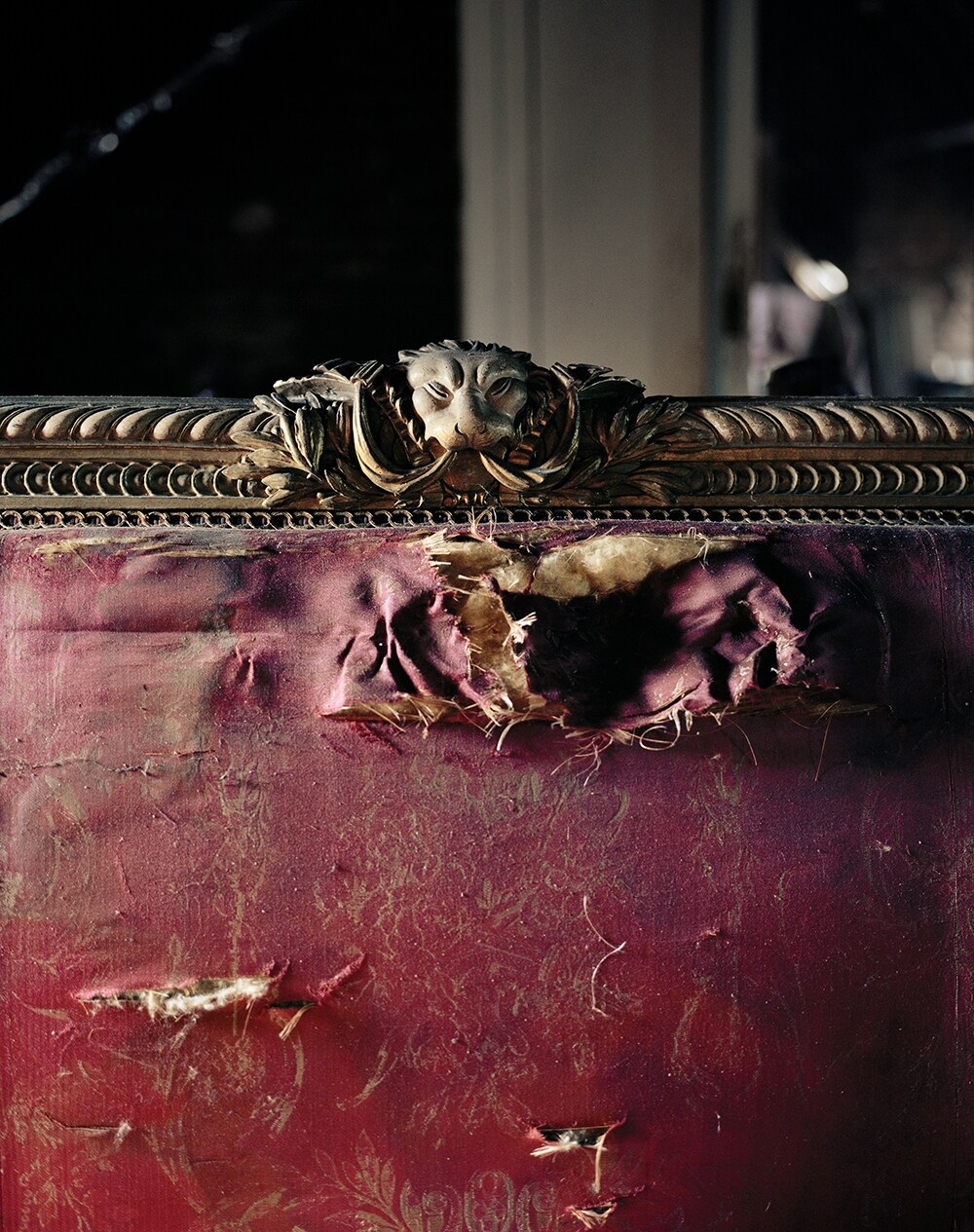 Collection, 2013