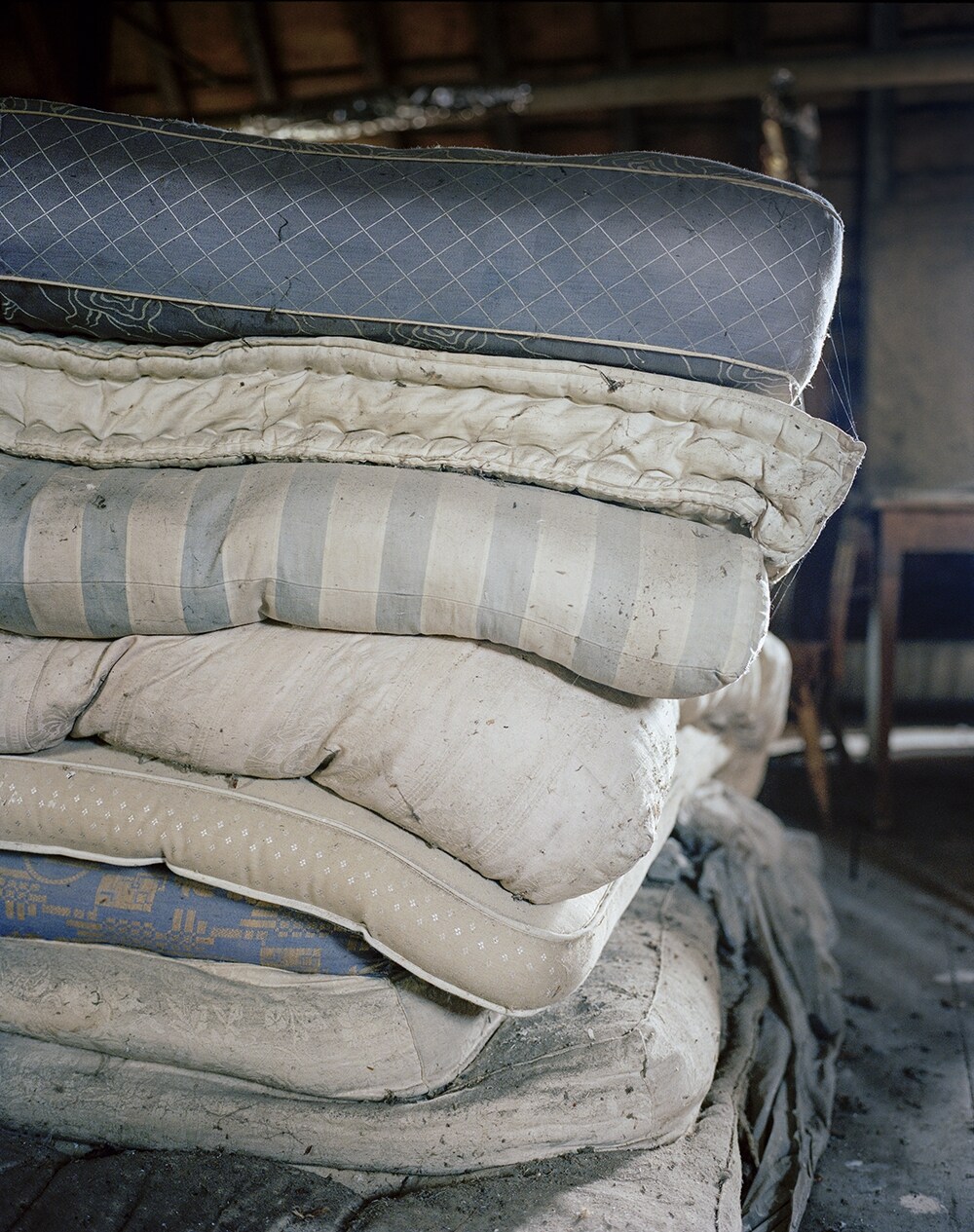 Collection, 2013