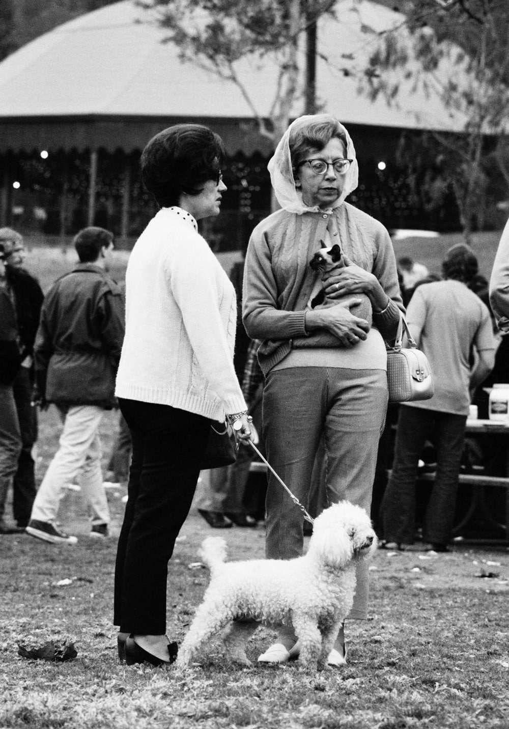 New Years Day Love-in; Griffith Park, LA