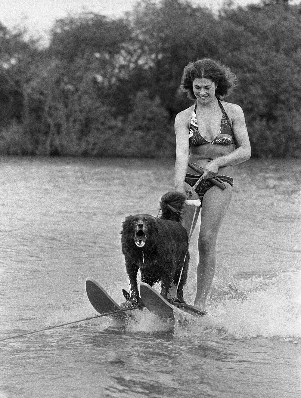 Out on the Lake, 1984