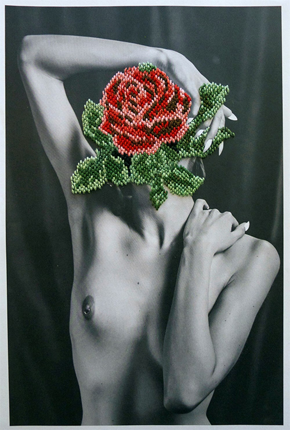 rosetrip