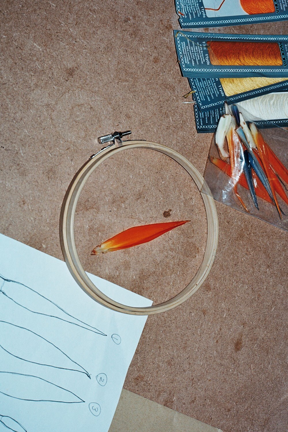 Photography by Chris Rhodes