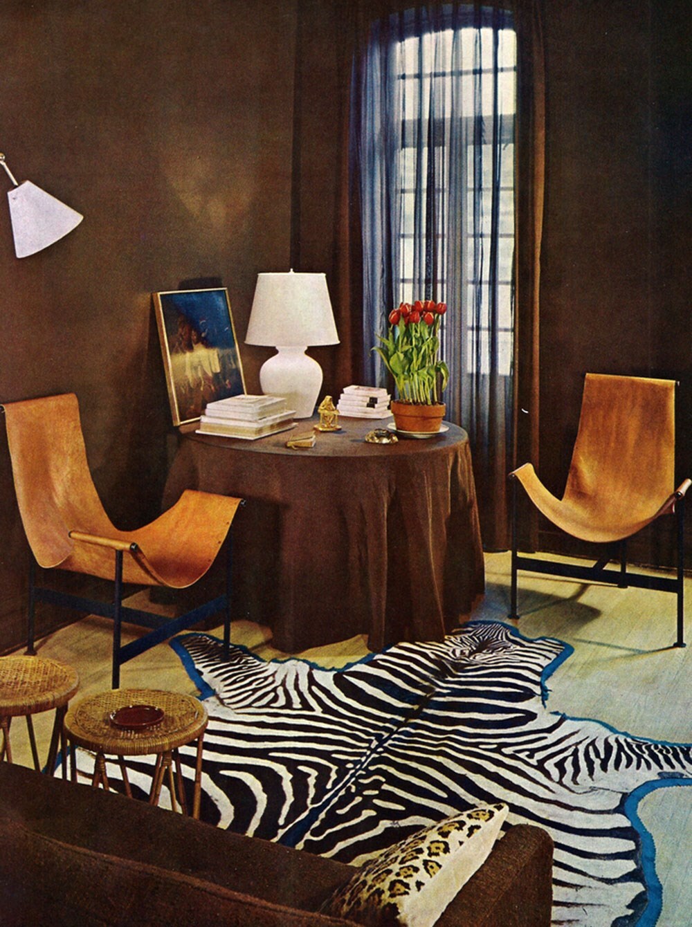Zebra-5
