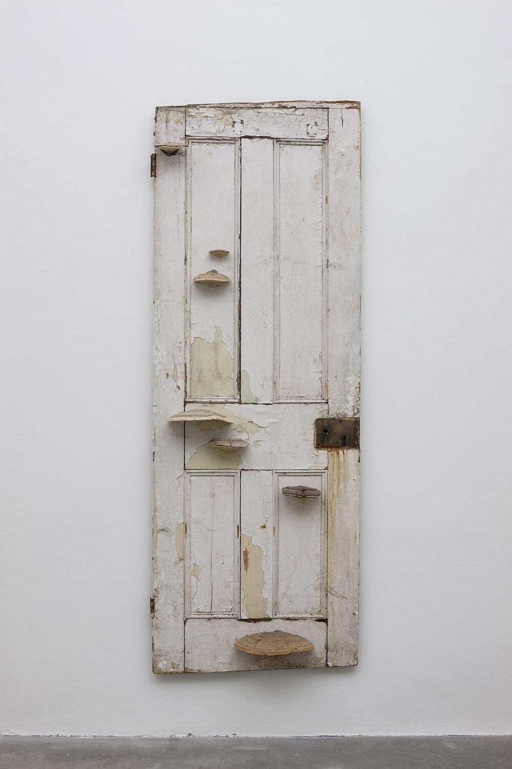 Dorothy-Cross,-Doorway,-2014