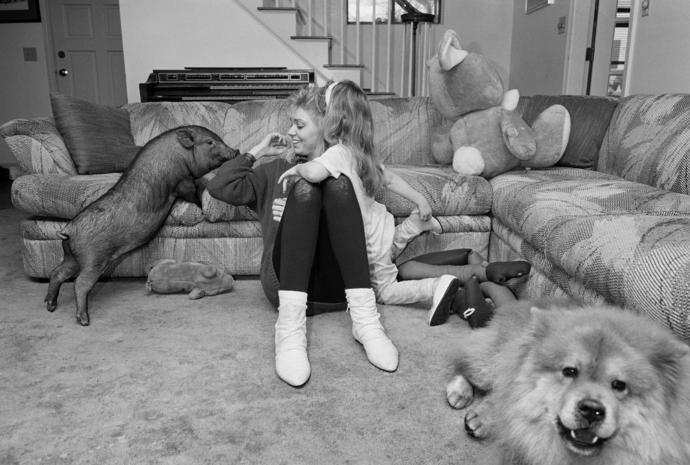 Animals by Sage Sohier