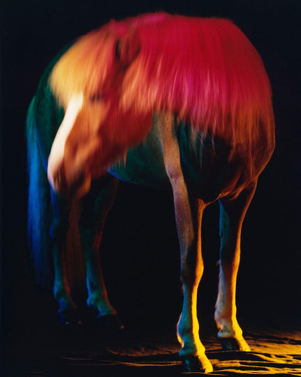 The Horses by Gareth McConnell