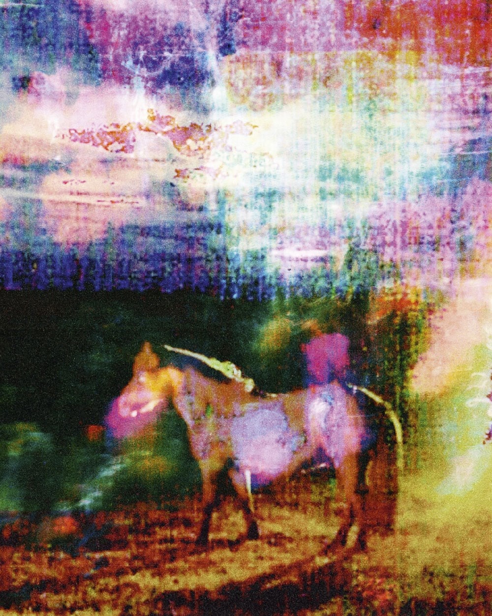 The Horses by Gareth McConnell