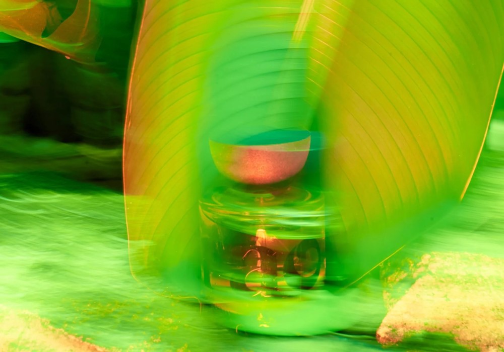 Vyrao perfumes