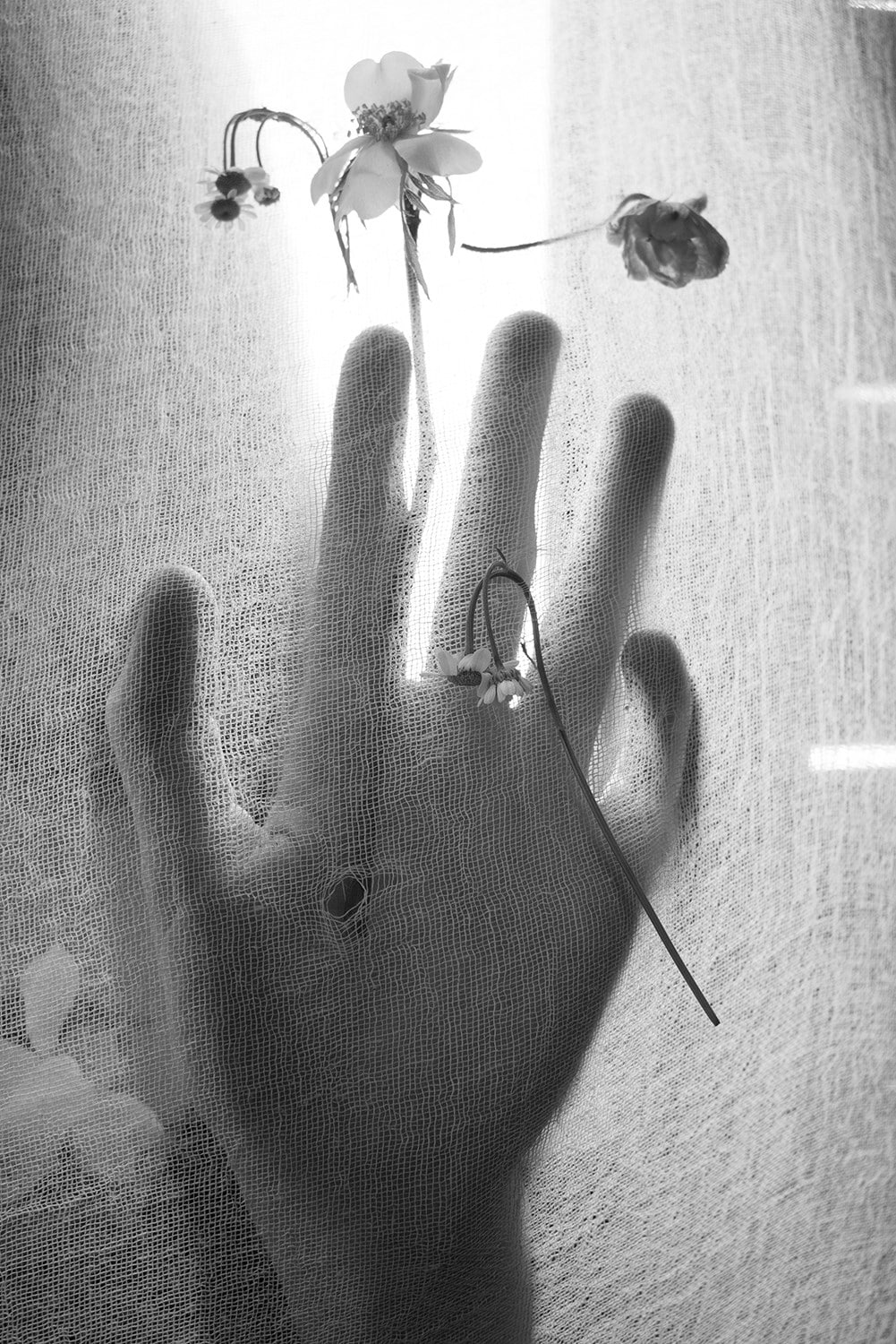 Inez &amp; Vinoodh_Lou&#39;s Hand 2020