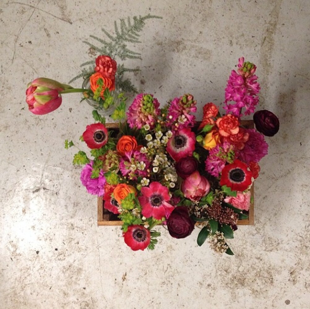 Courtesy of @graceandthorn