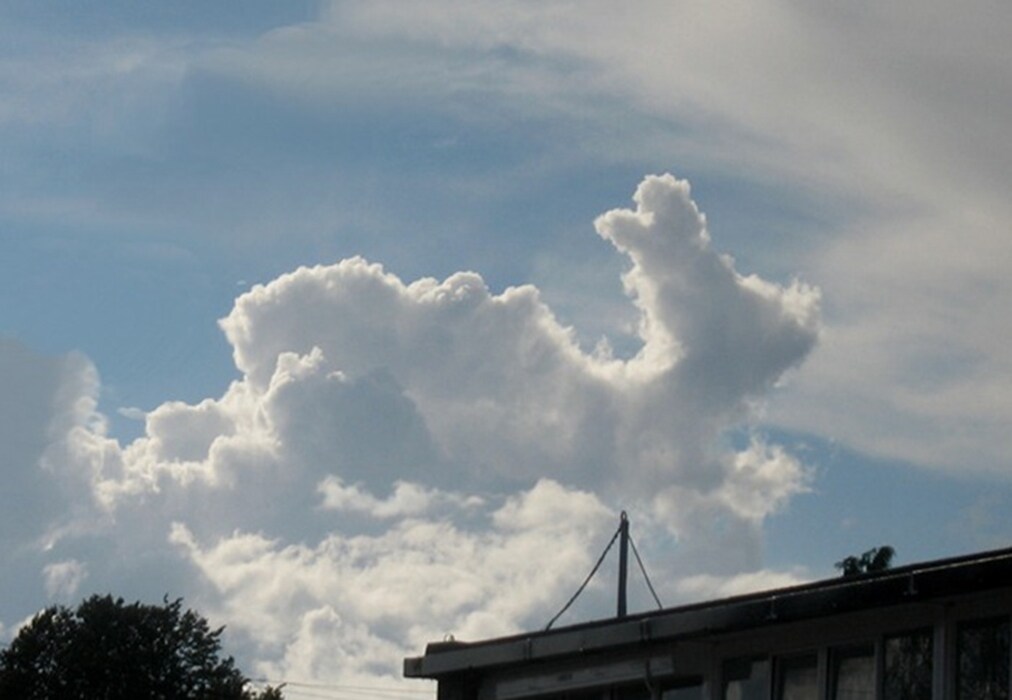 A rabbit hopping over Nottinghamshire, UK