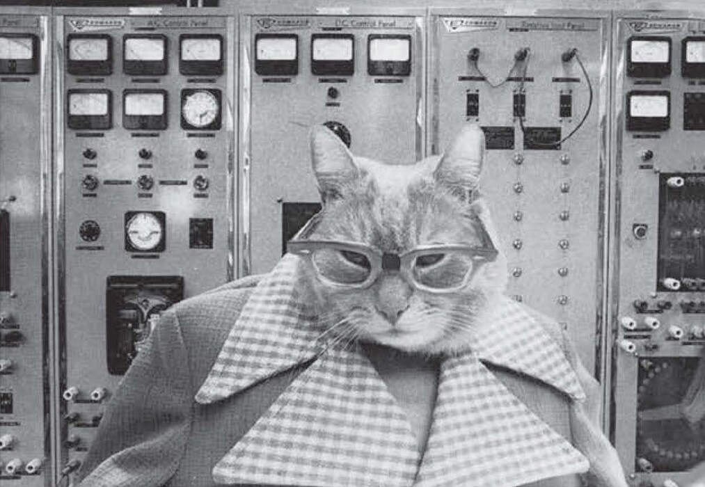Cat High: The Yearbook
