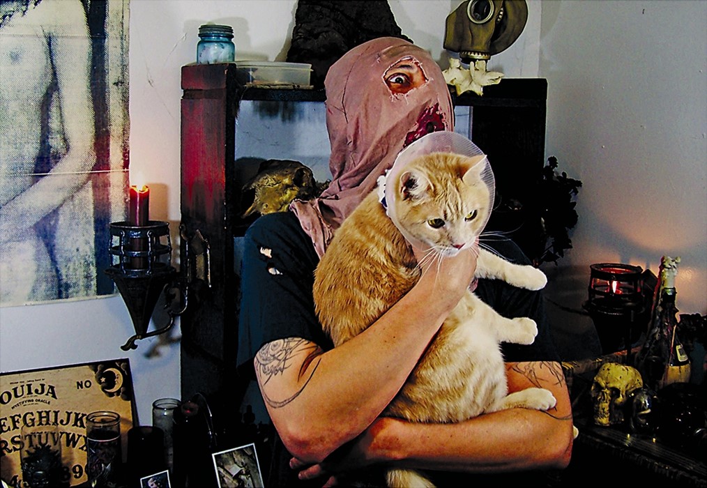 From Metal Cats by Alexandra Crockett, published by powerHou