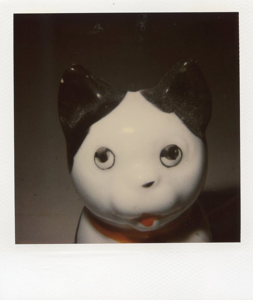 400 Polaroids by Nobuyoshi Araki and Daido Moriyama
