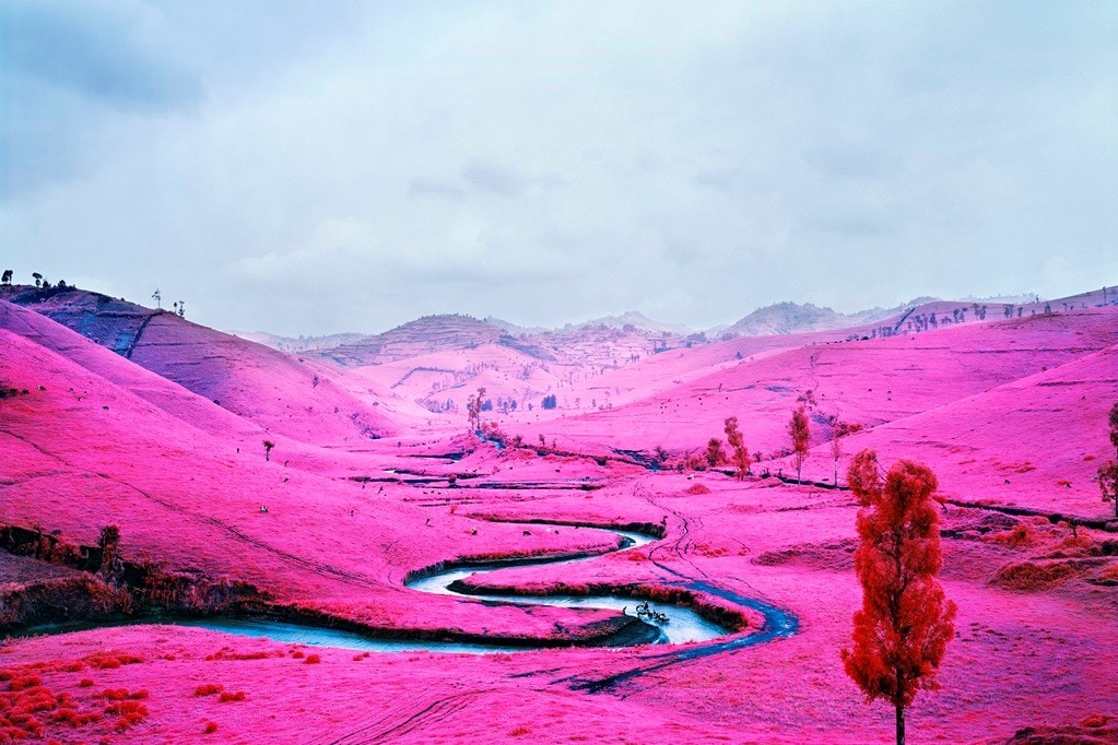 13. Richard Mosse, Platon, 2012