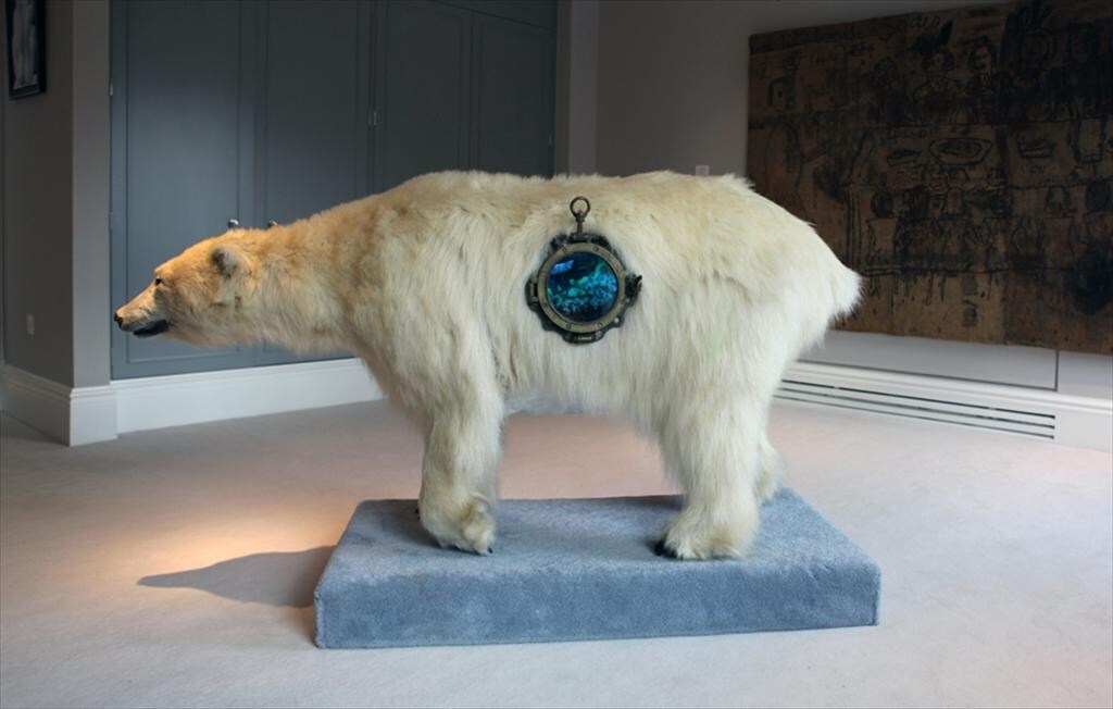Installation by Kelly McCallum