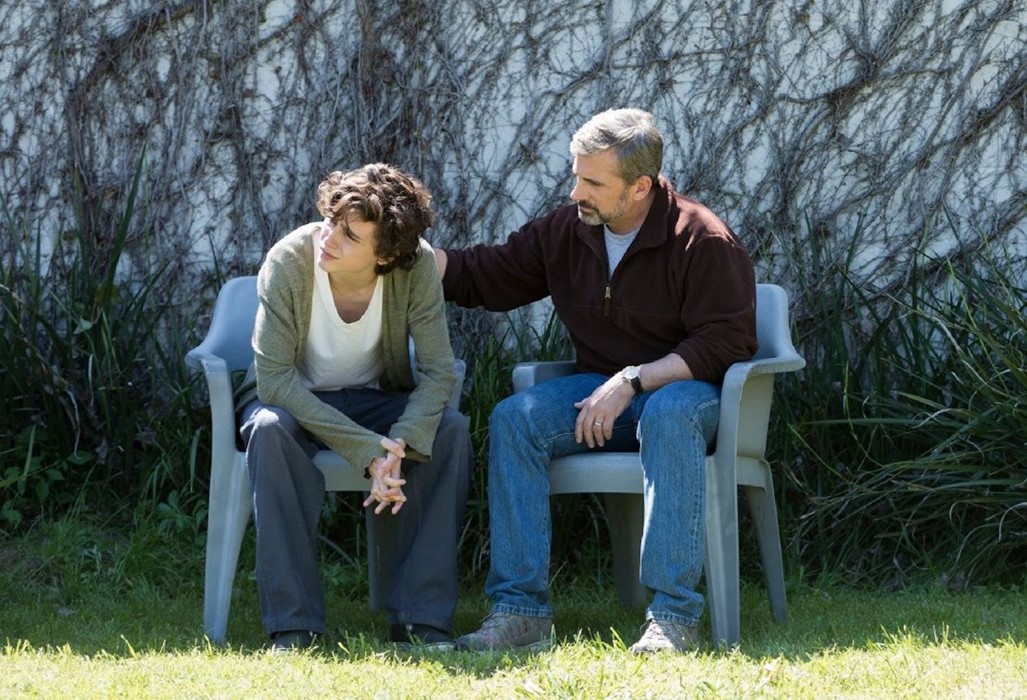 Timothée Chalamet in Beautiful Boy, 2018