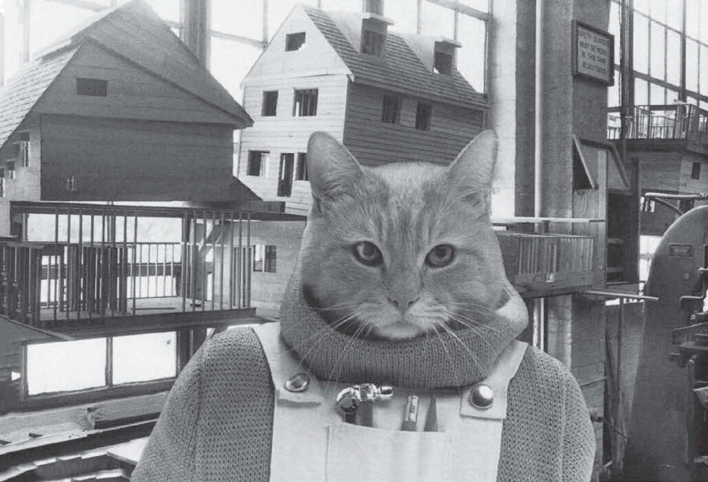 Cat High: The Yearbook