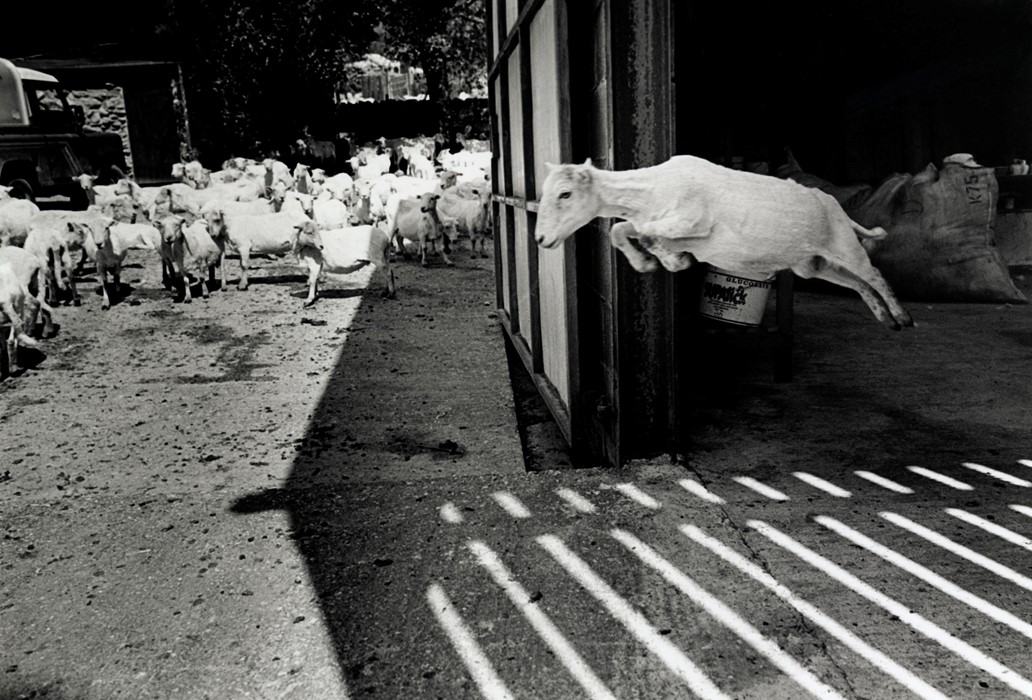David Hurn Magnum Square Print Sale