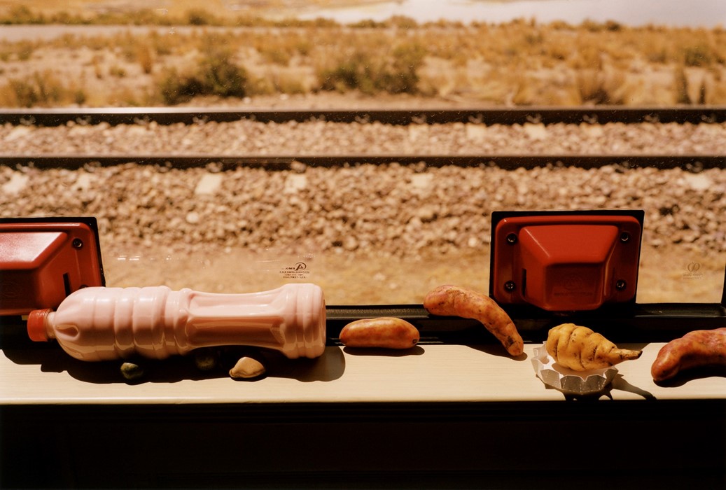 Andean Explorer, As Seen By Colin Dodgson
