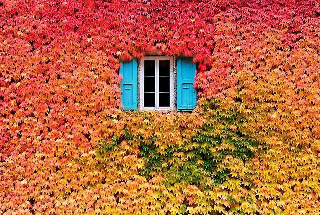 Autumn by Eric Forey