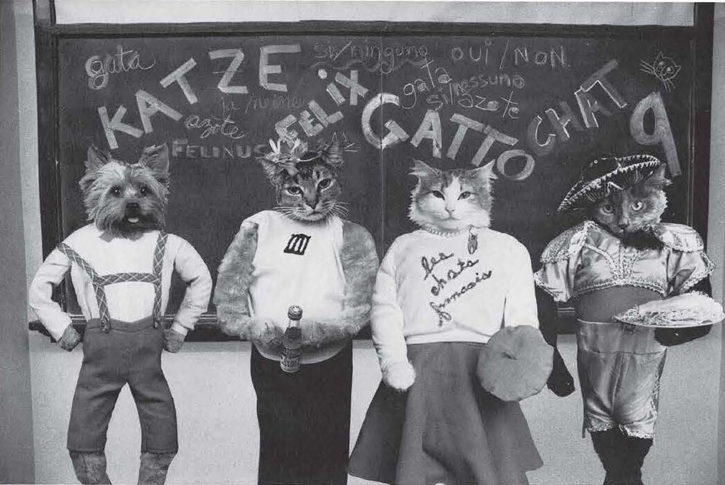 Cat High: The Yearbook
