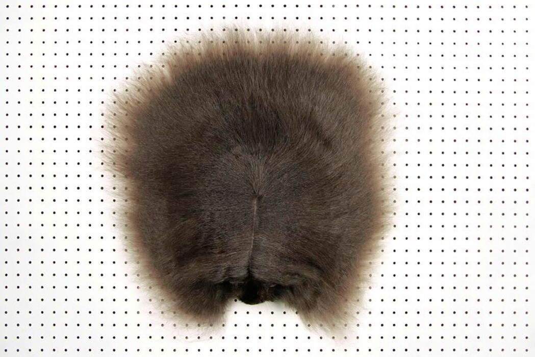 Pig or Wig?