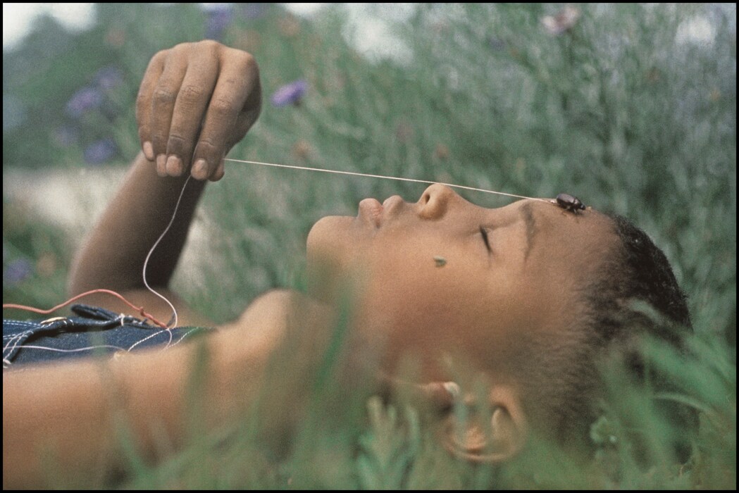 Boy and June Bug Fort Scott Kansas 1963 C Foto Gor