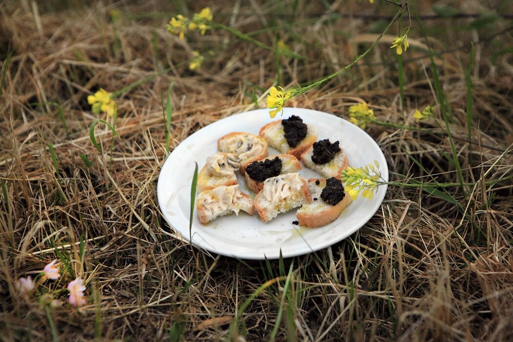 Savini truffle crostini