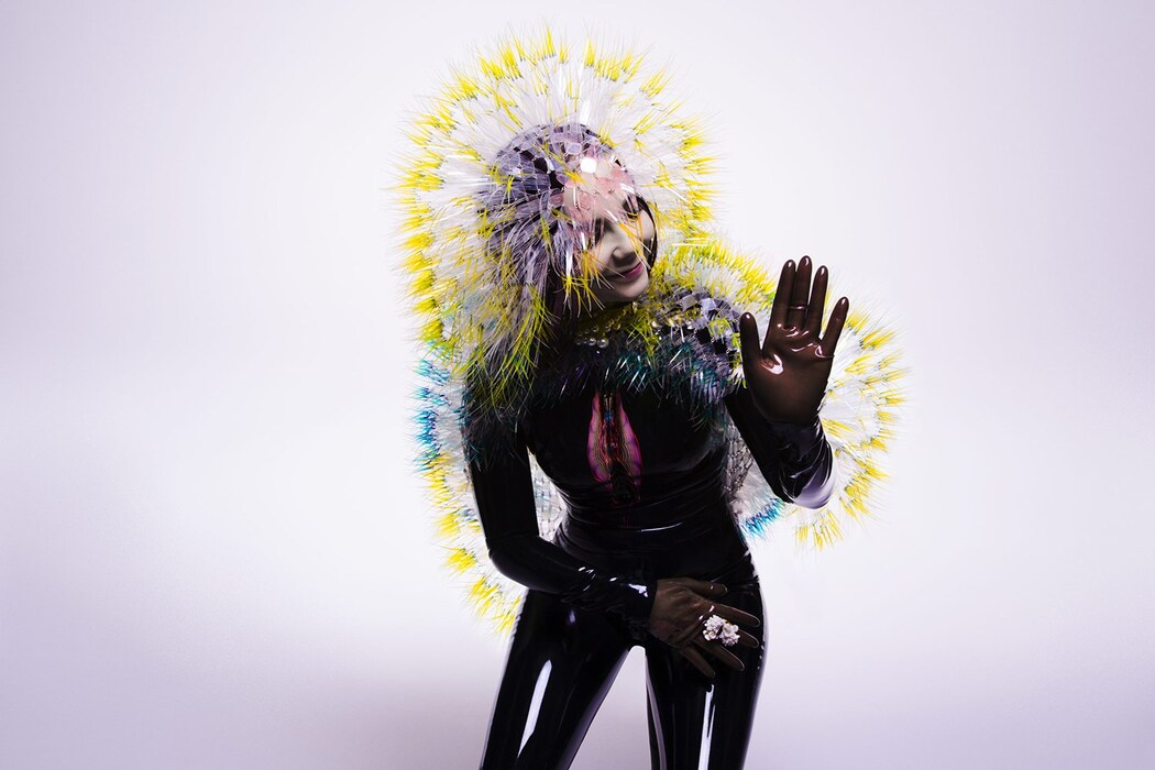 bjork-2015-inez-vinoodh-vulnicura-06