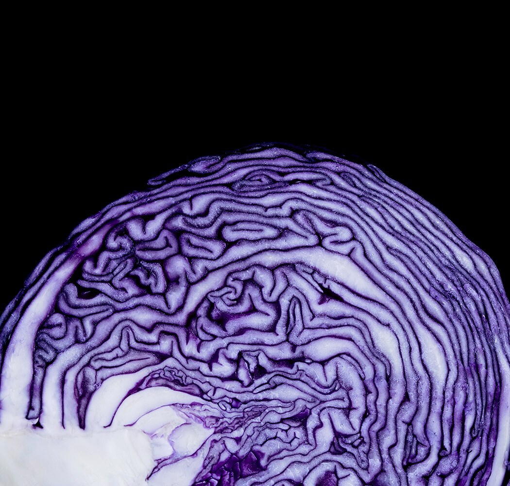 PATTERNITY_W_L1779