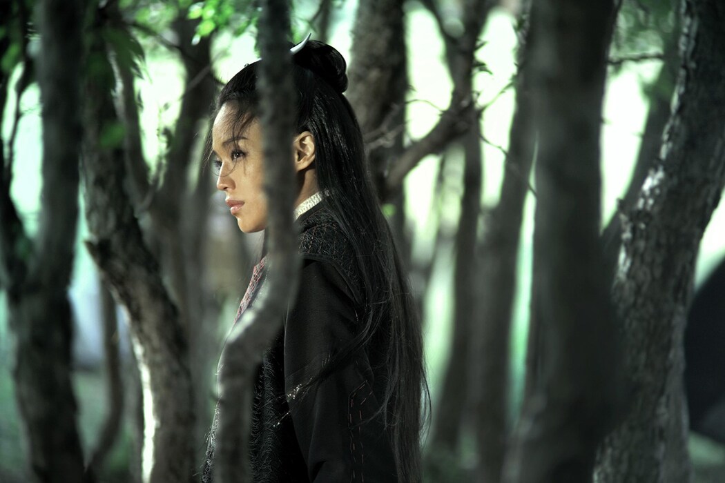 the-assassin