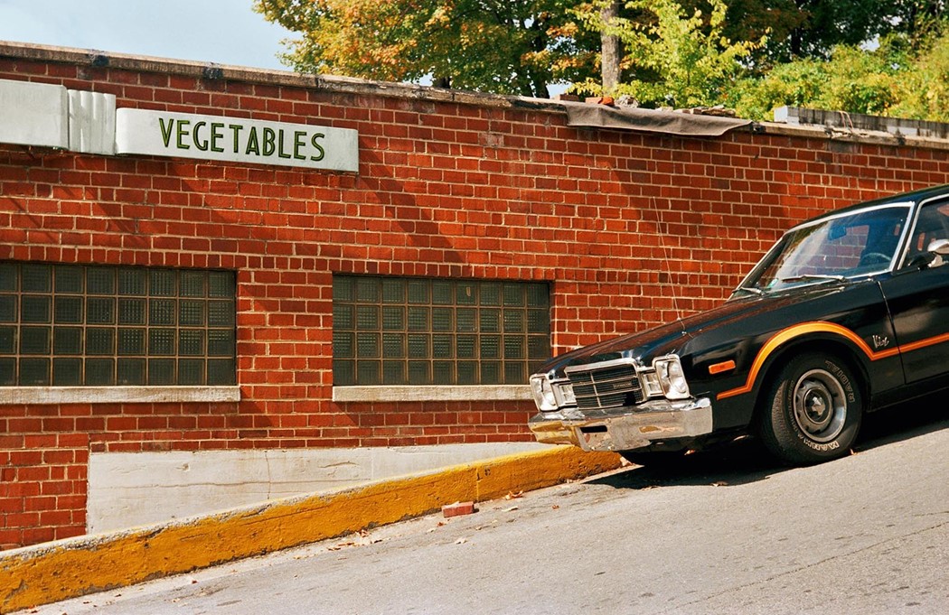 The Democratic Forest by William Eggleston | AnOther