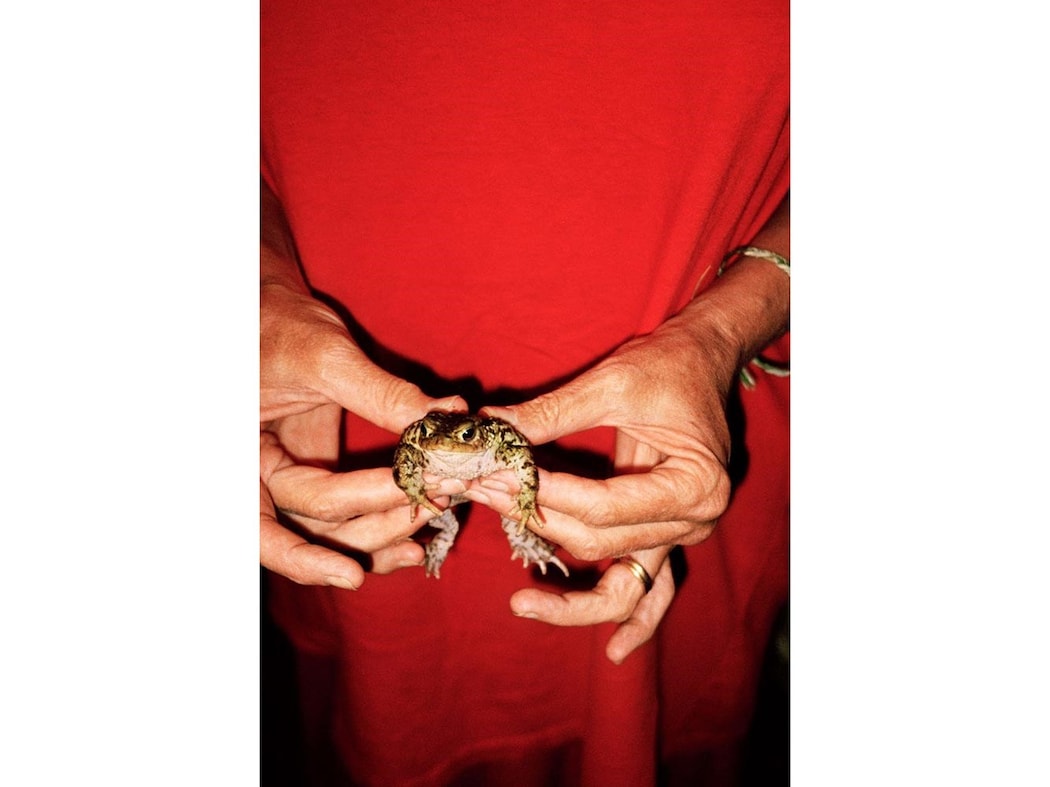 A Tender Take: The Photography of Mary McCartney | AnOther