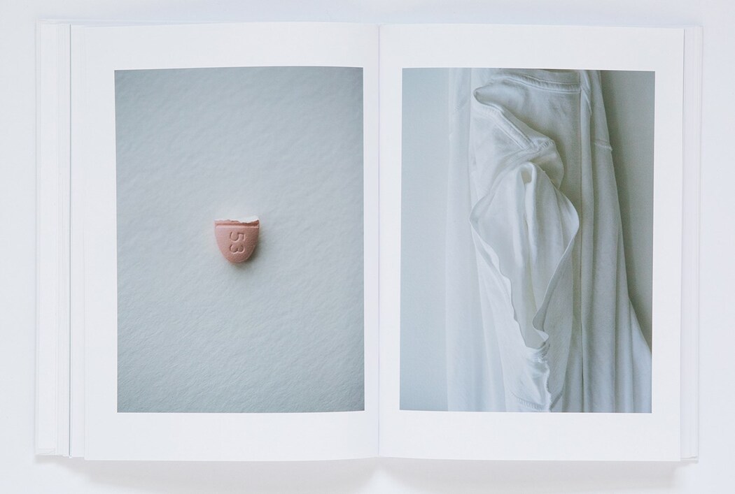 Hart+Leshkina BEYOND THE CLOUDS 限定500部 Transient Beauty: Inside