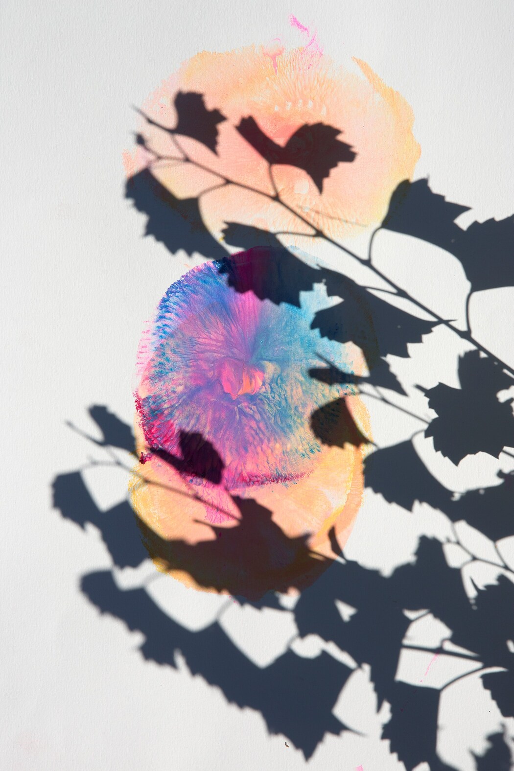 【新品未開封】viviane sassen / roxane II Roxane II by Viviane Sassen | AnOther