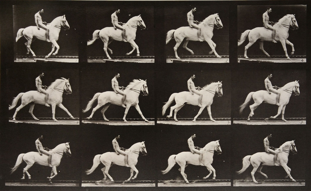 Eadweard Muybridge: The Curious Forefather of Cinema | AnOther