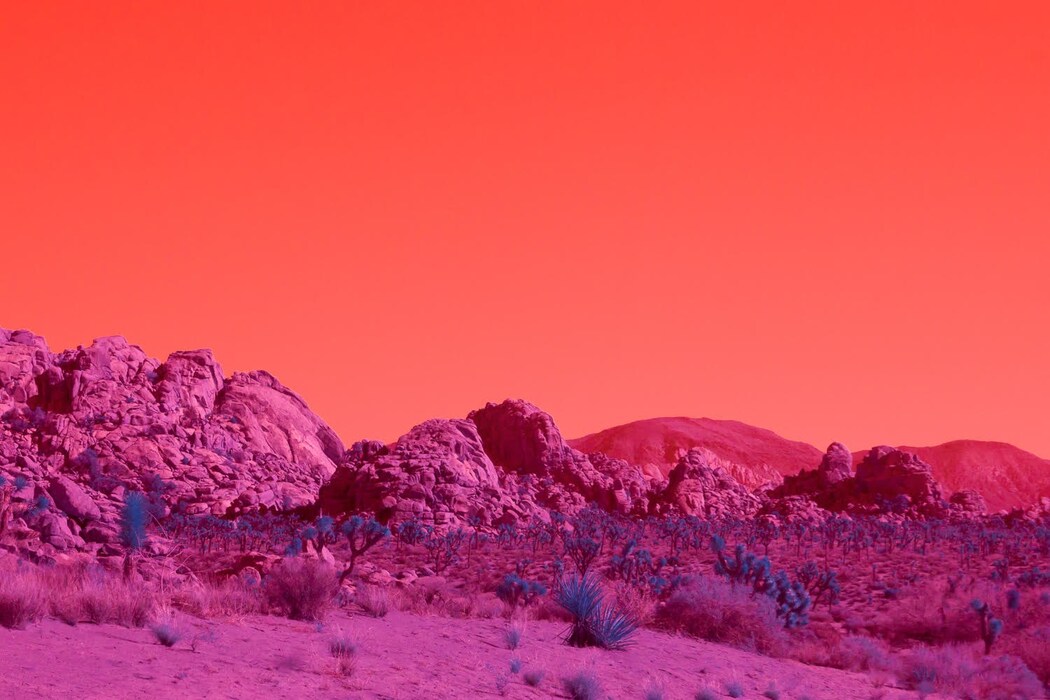 Reimagining Californian Landscapes Through Infrared | AnOther