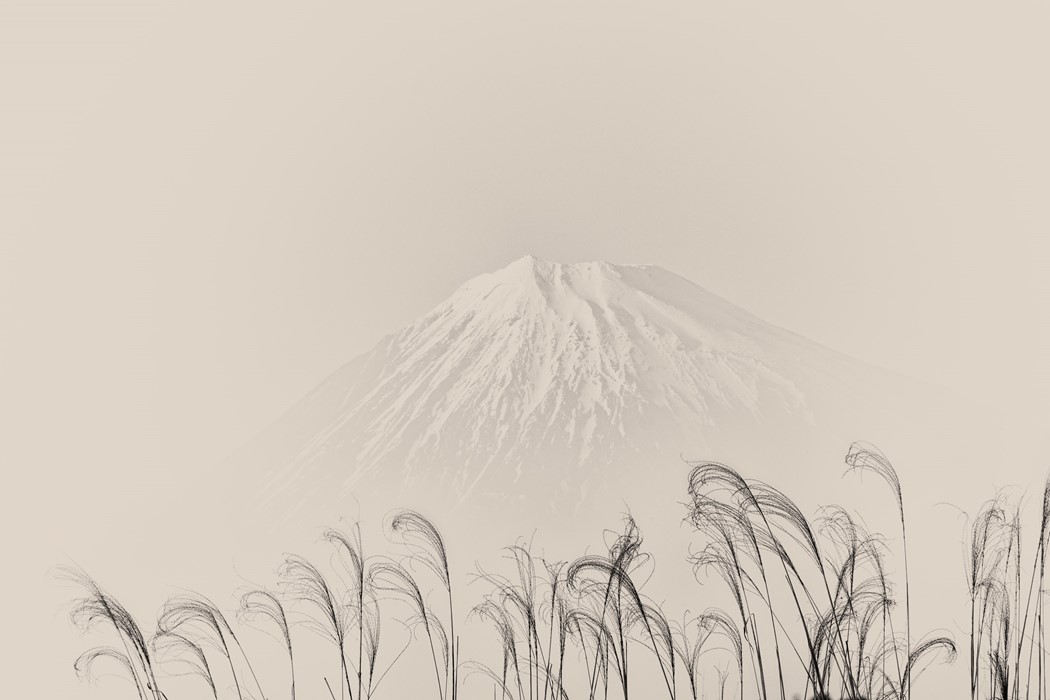 #754