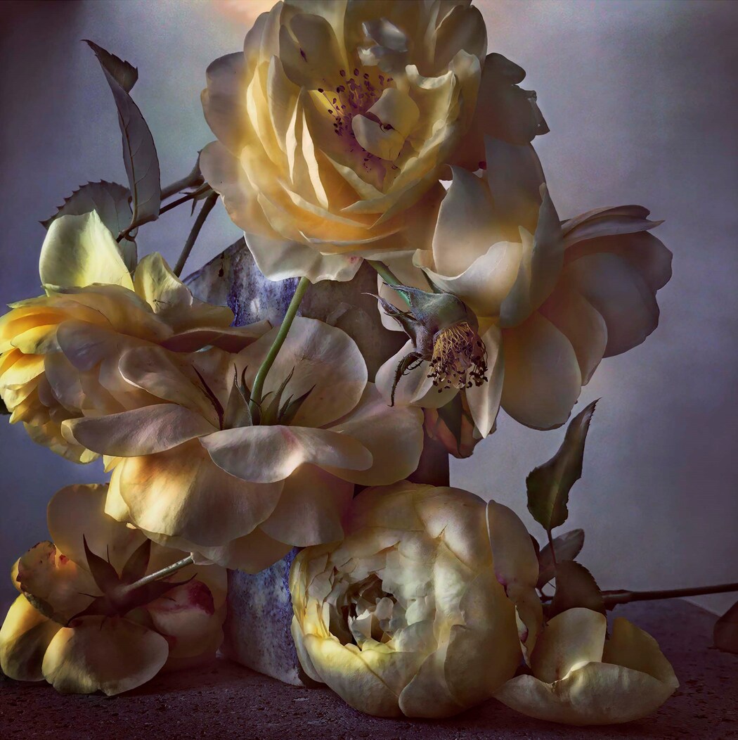 Alexander Fury: Nick Knight's Unreal, Surreal Images of Roses