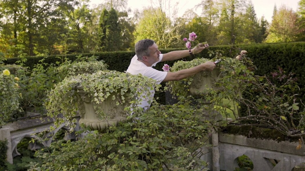 Dries Van Noten on How His Garden Inspires Him | AnOther