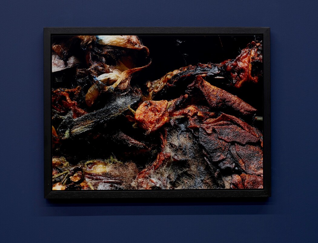 Jefferson Hack: The Beauty and Violence of Willy Vanderperre's
